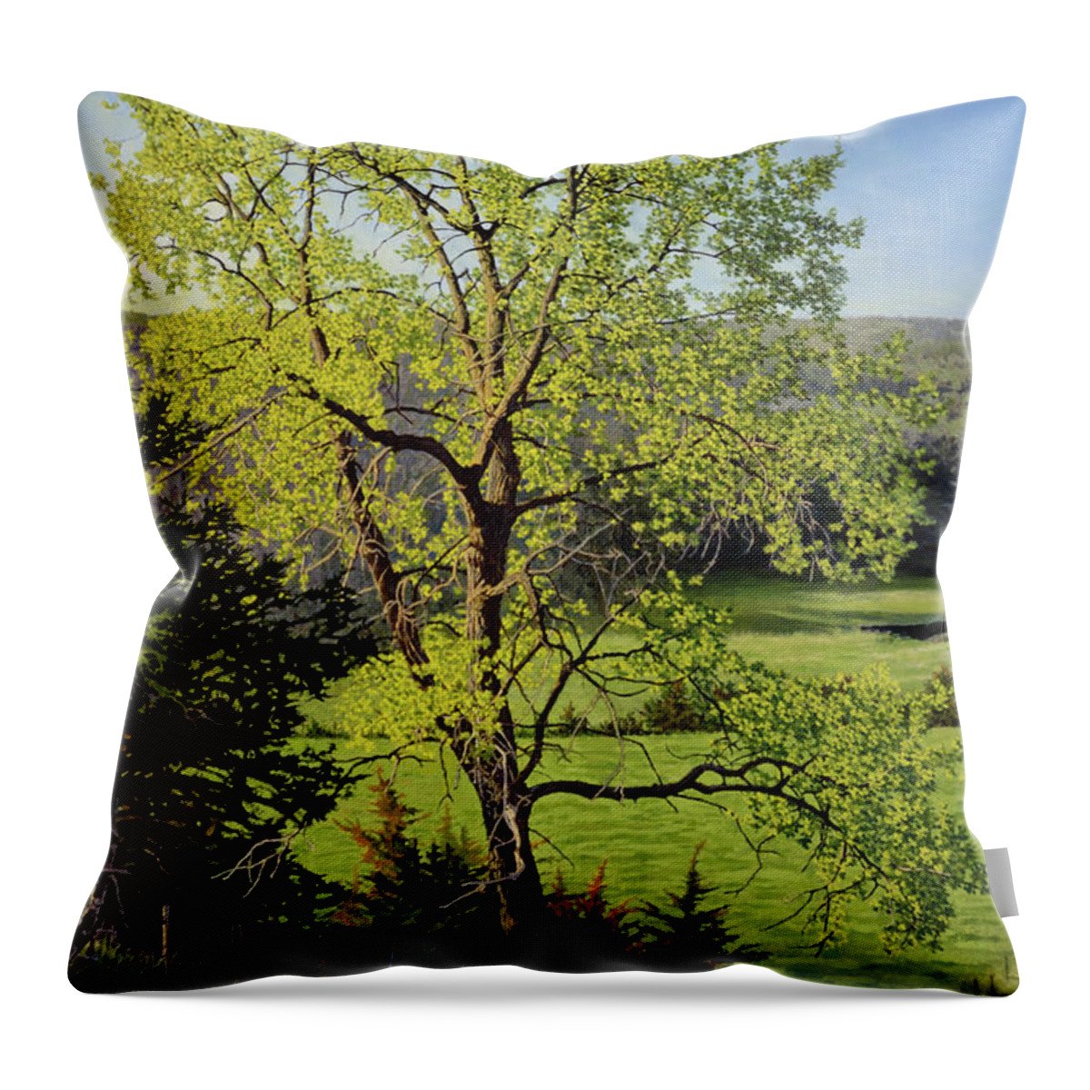 Spring Morning Throw Pillow featuring the painting Along the Southeast Corner Fenceline by Bruce Morrison