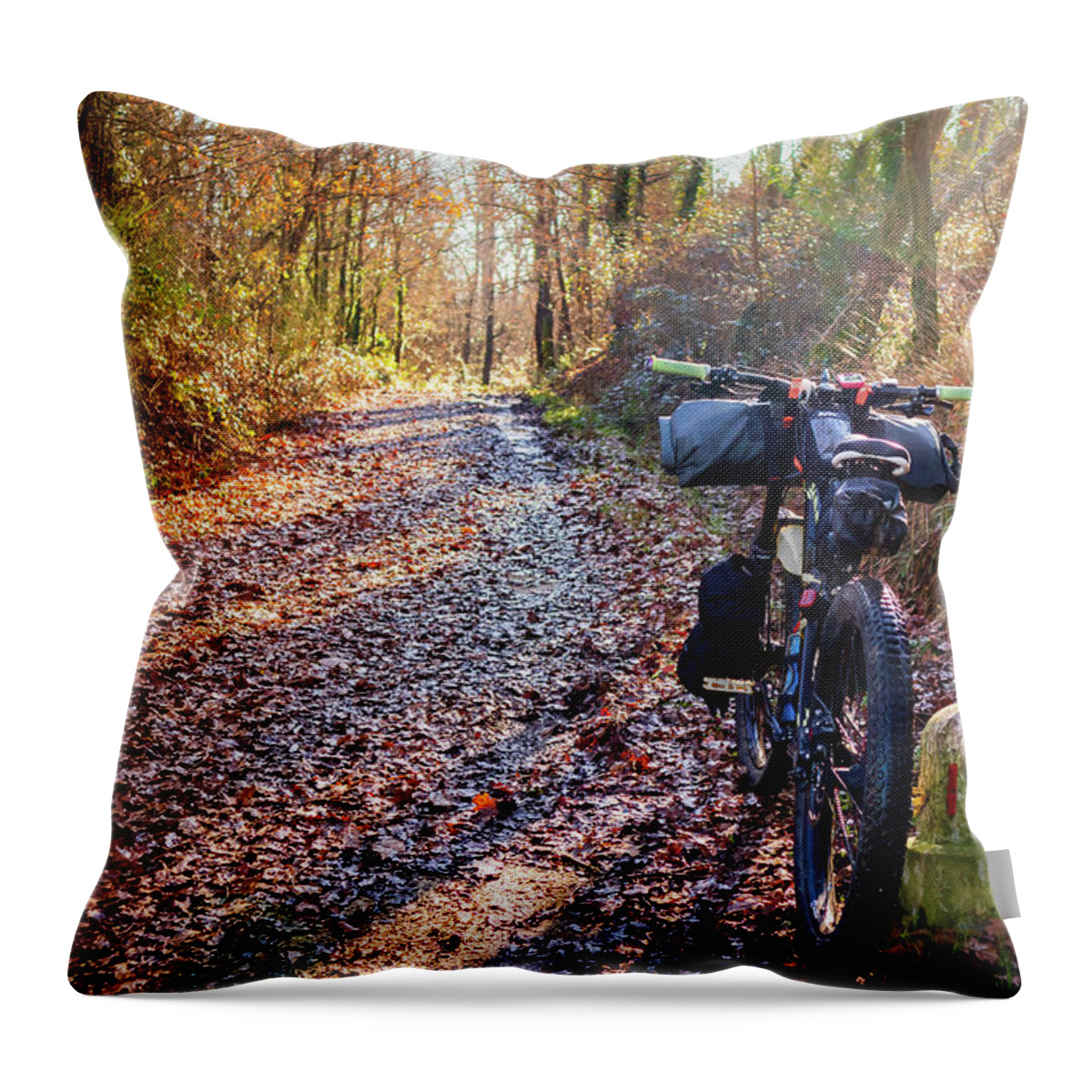 Adventure Throw Pillow featuring the photograph Along the wet path by Umberto Barone