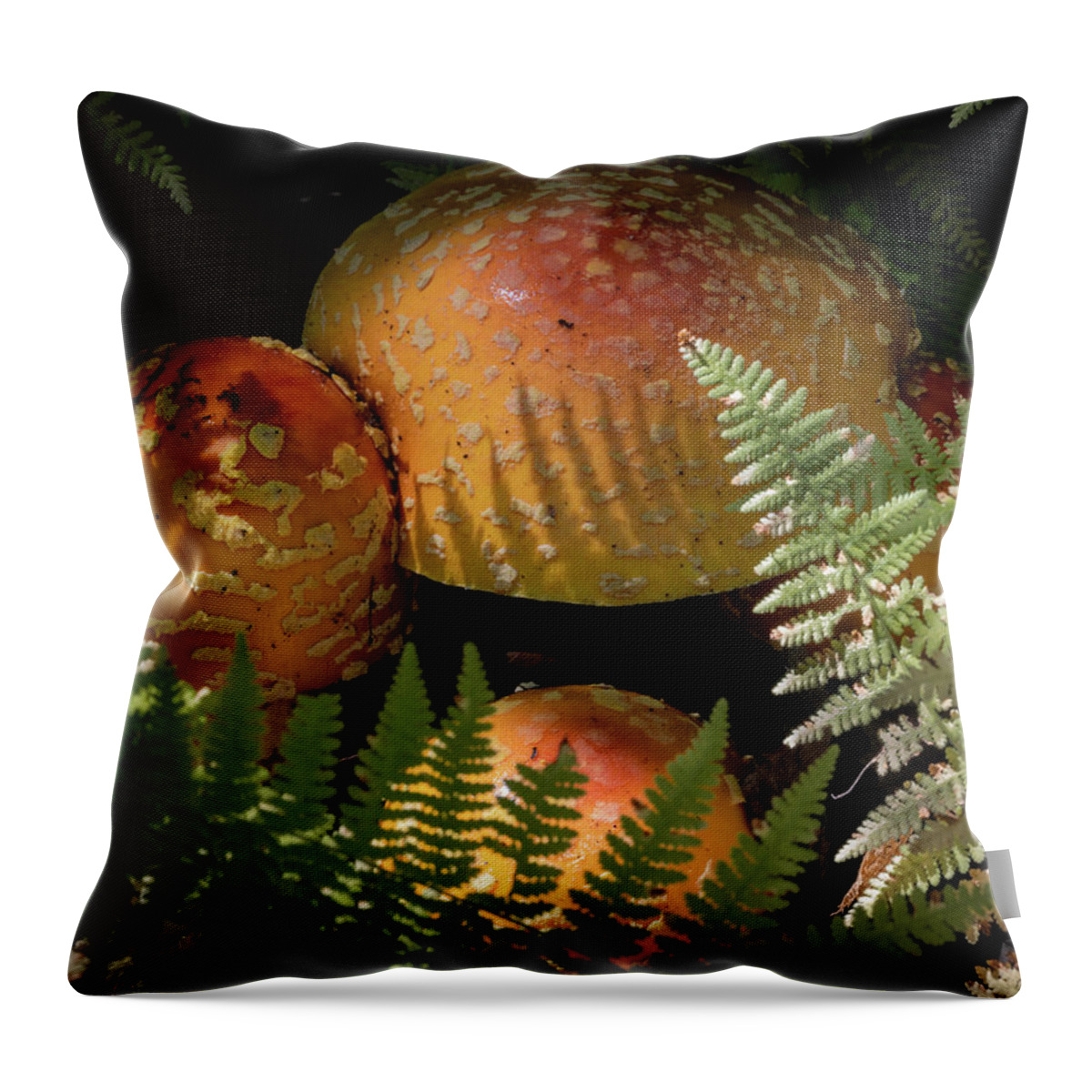Maine Throw Pillow featuring the photograph Amanita Fungi by Norman Reid