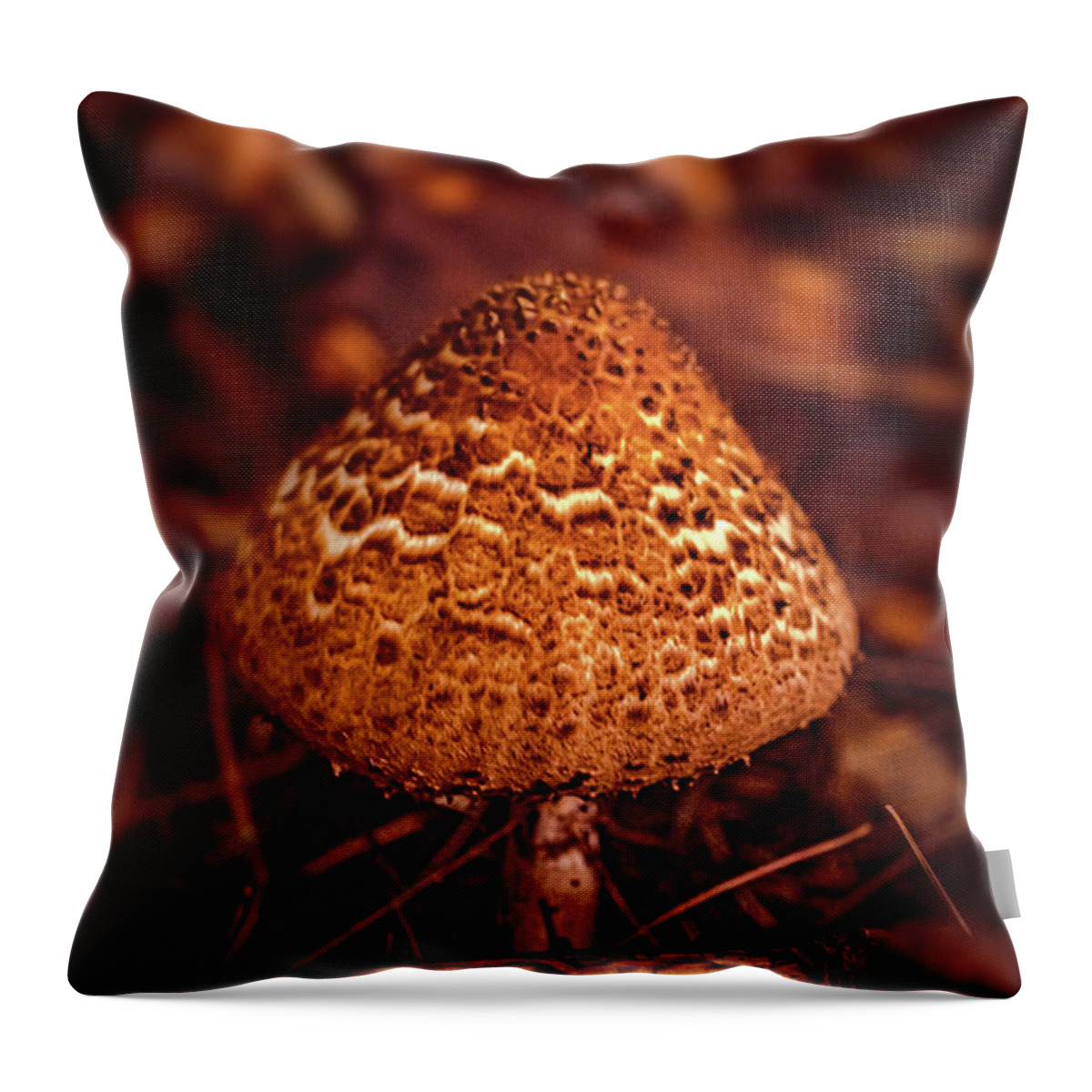 Amanita Throw Pillow featuring the photograph Amanita mushroom by Lilia S