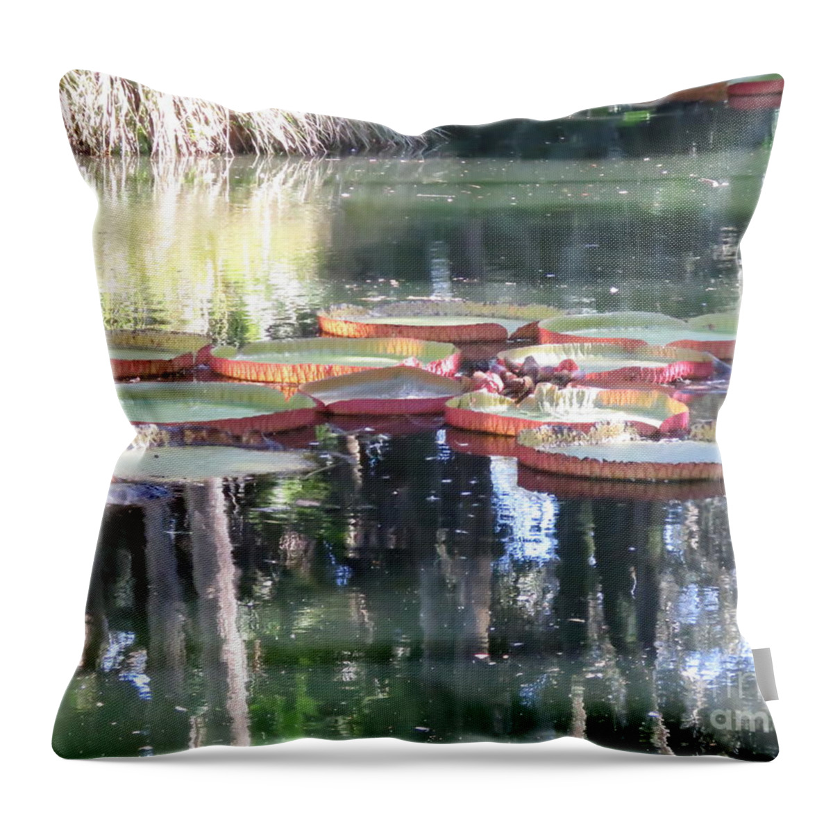 Amazon Water Lily Throw Pillow featuring the photograph Amazon Water Lilies by World Reflections By Sharon