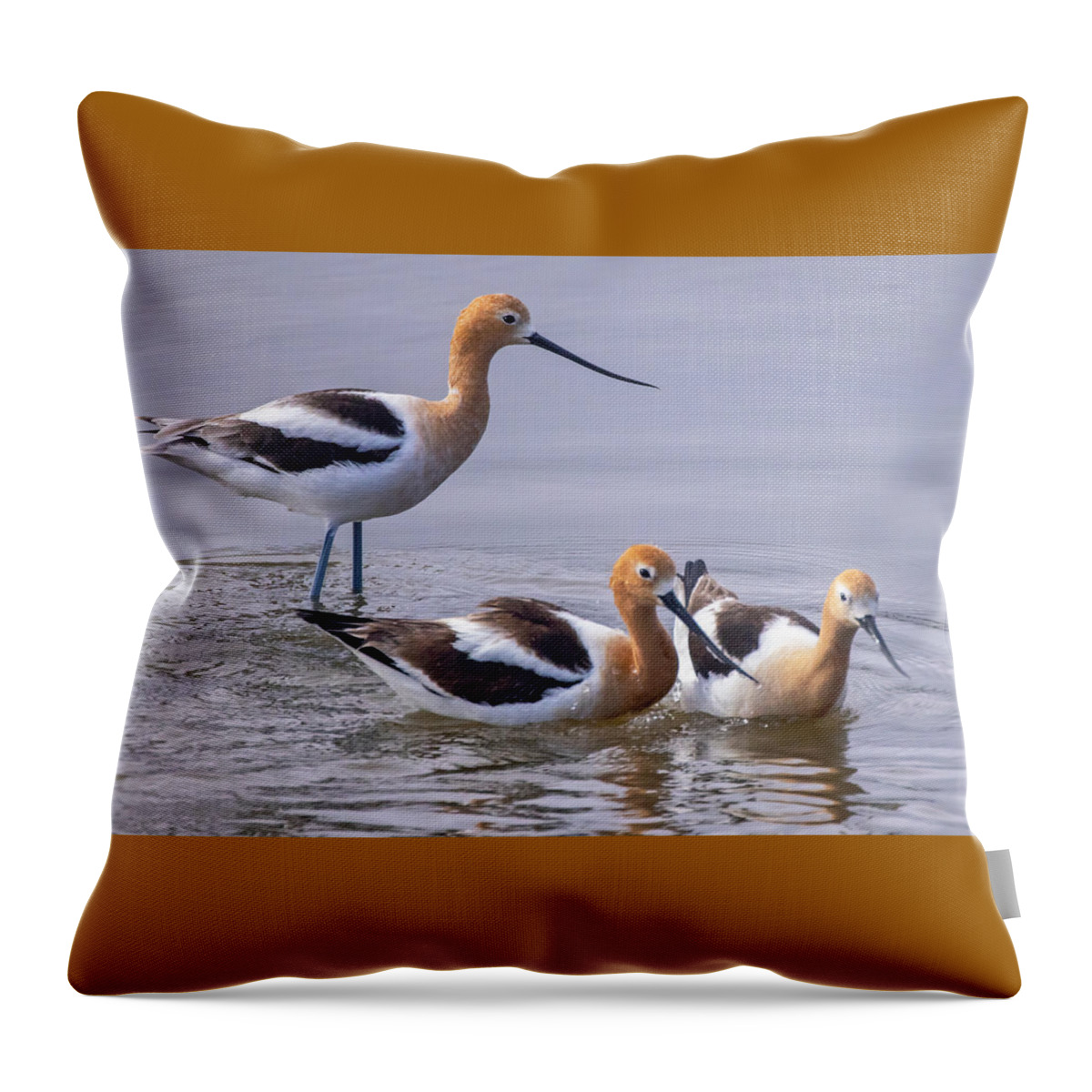  Throw Pillow featuring the photograph American Avocets #2 by Carla Brennan