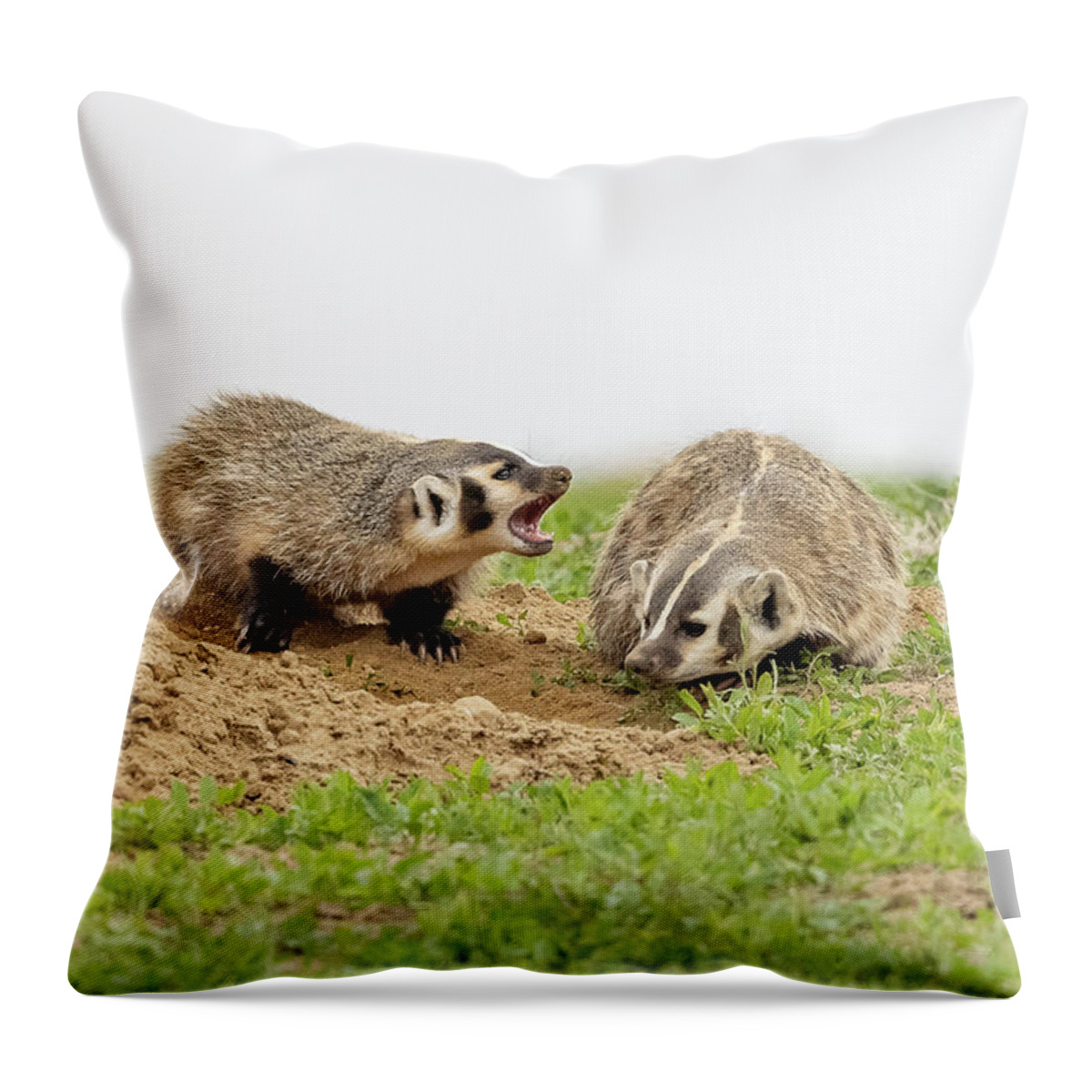 Badger Throw Pillow featuring the photograph American Badger Cub Tries to Get Mom to Play by Tony Hake