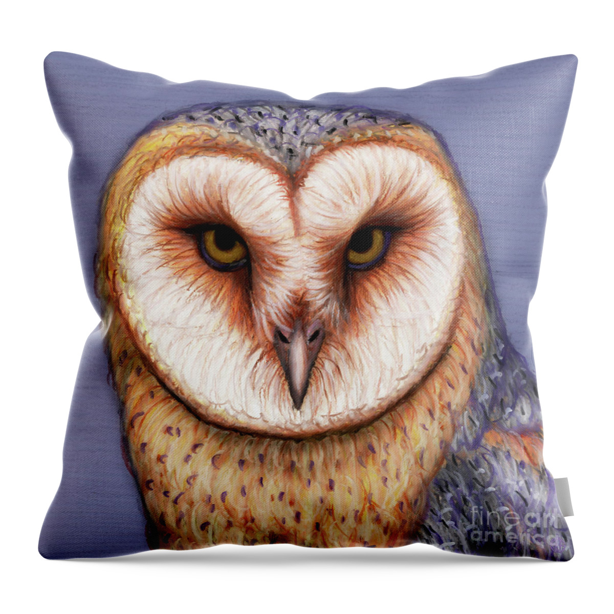 Barn Owl Throw Pillow featuring the painting American Barn Owl by Amy E Fraser