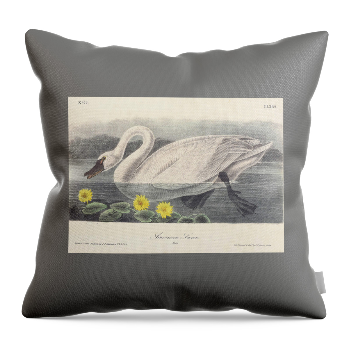 Swan Throw Pillow featuring the digital art American Swan c. 1840 by Kim Kent