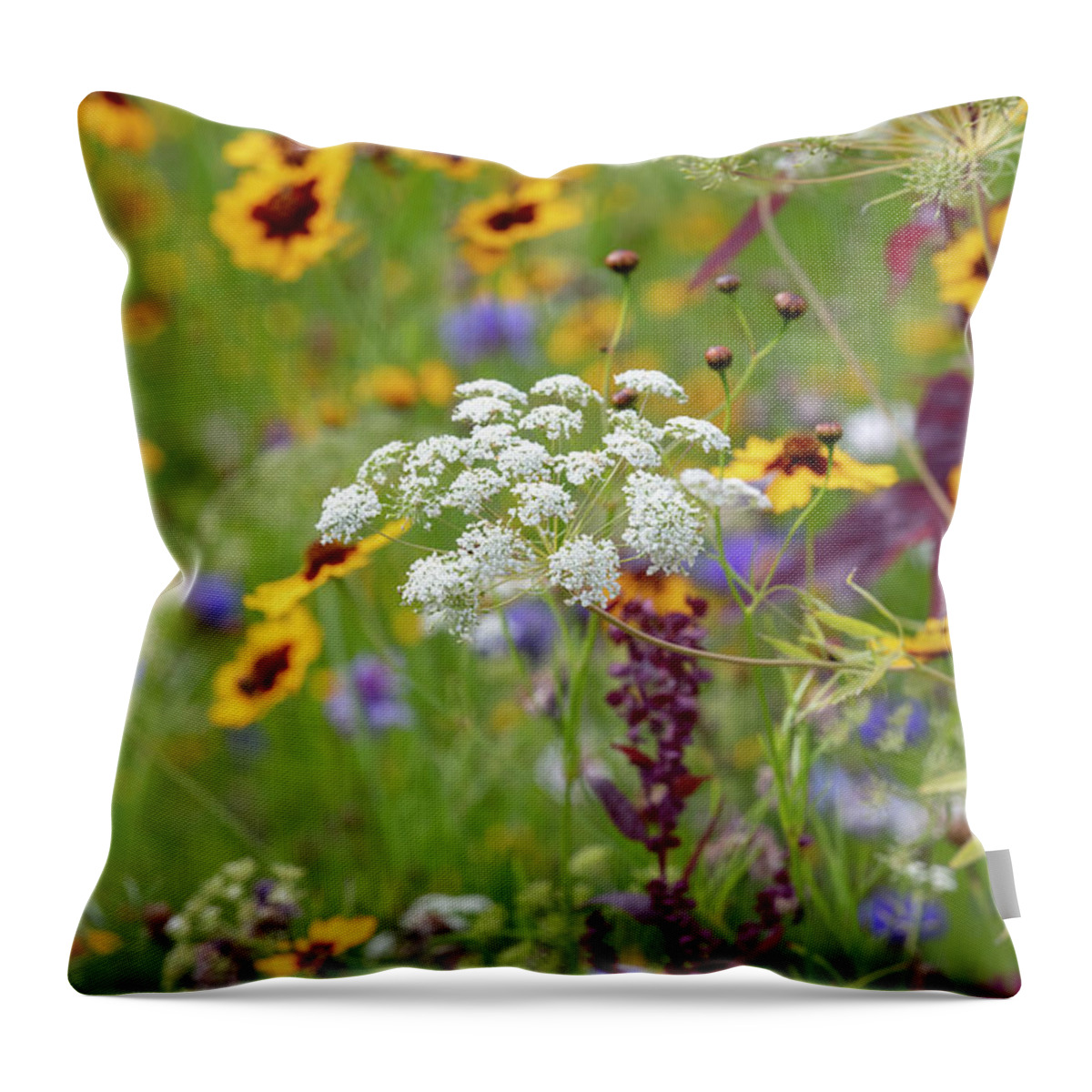 Ammi Majus Throw Pillow featuring the photograph Ammi Majus in a Wildflower Meadow by Tim Gainey