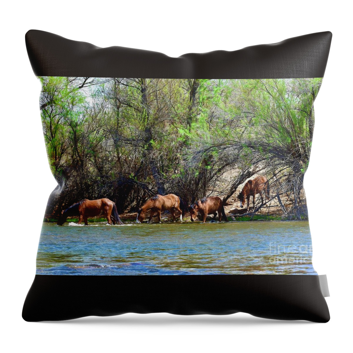 Salt River Wild Horses Drinking From The Salt River In The Tonto Forest Throw Pillow featuring the digital art An afternoon drink by Tammy Keyes