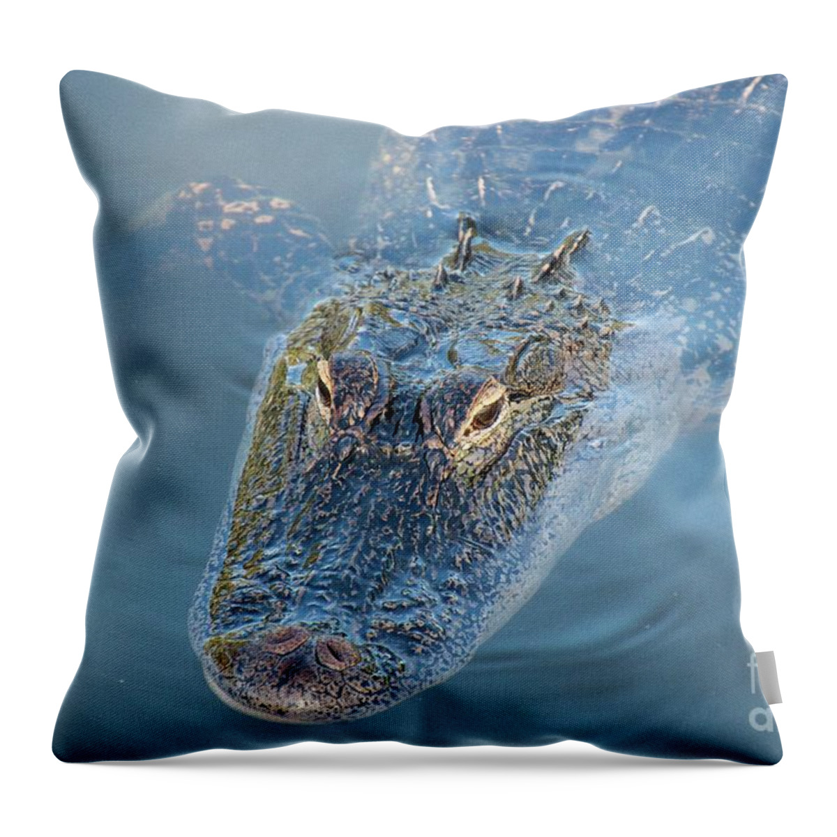  Alligator Throw Pillow featuring the photograph An Alligator With A Reflection In it's Eye by Philip And Robbie Bracco