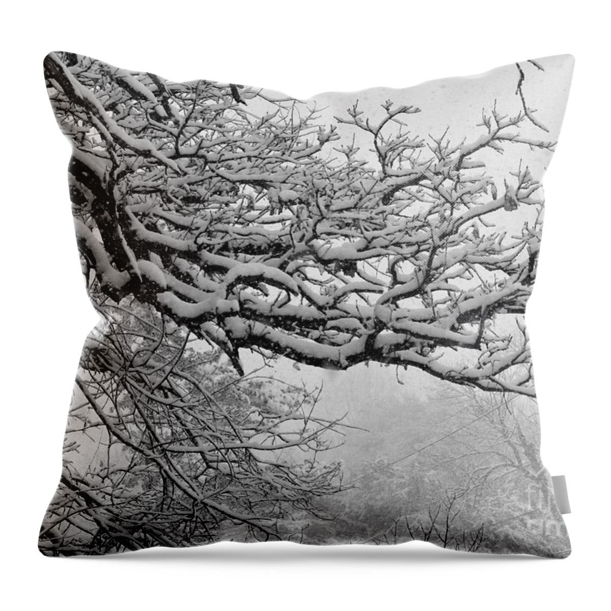 Snow-laden Limbs Throw Pillow featuring the photograph Spring Snow On Branches by Rosanne Licciardi