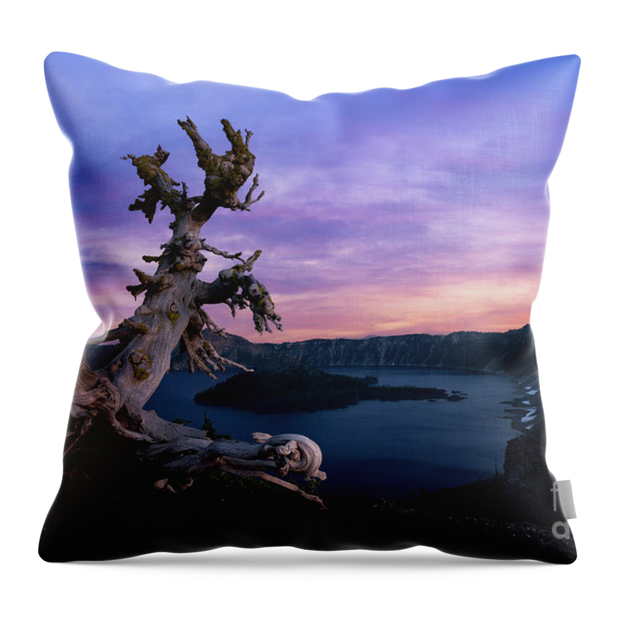 Crater Lake Throw Pillow featuring the photograph Ancient Whitebark Pine by Michael Ver Sprill