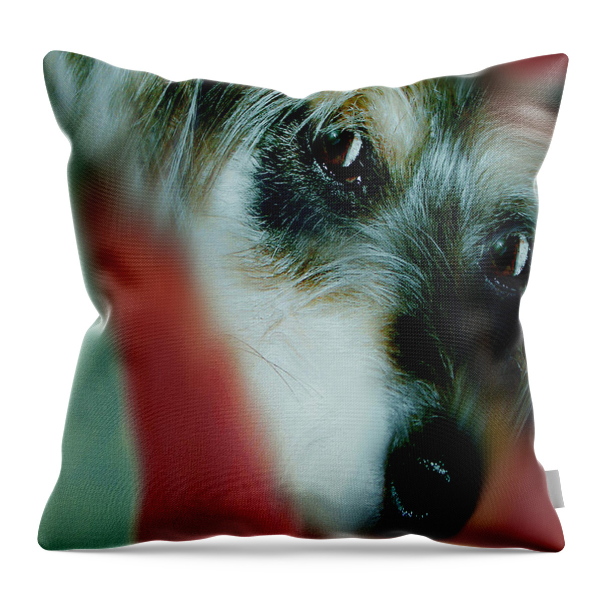 Art Throw Pillow featuring the digital art And this is Sparky 15 by Miss Pet Sitter