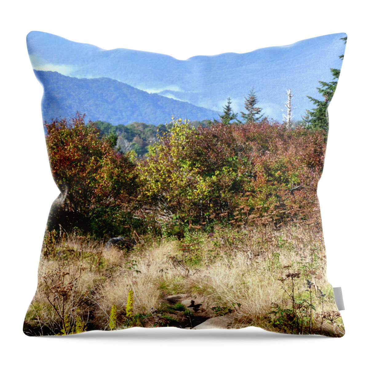 Andrews Bald Throw Pillow featuring the photograph Andrews Bald 3 by Phil Perkins