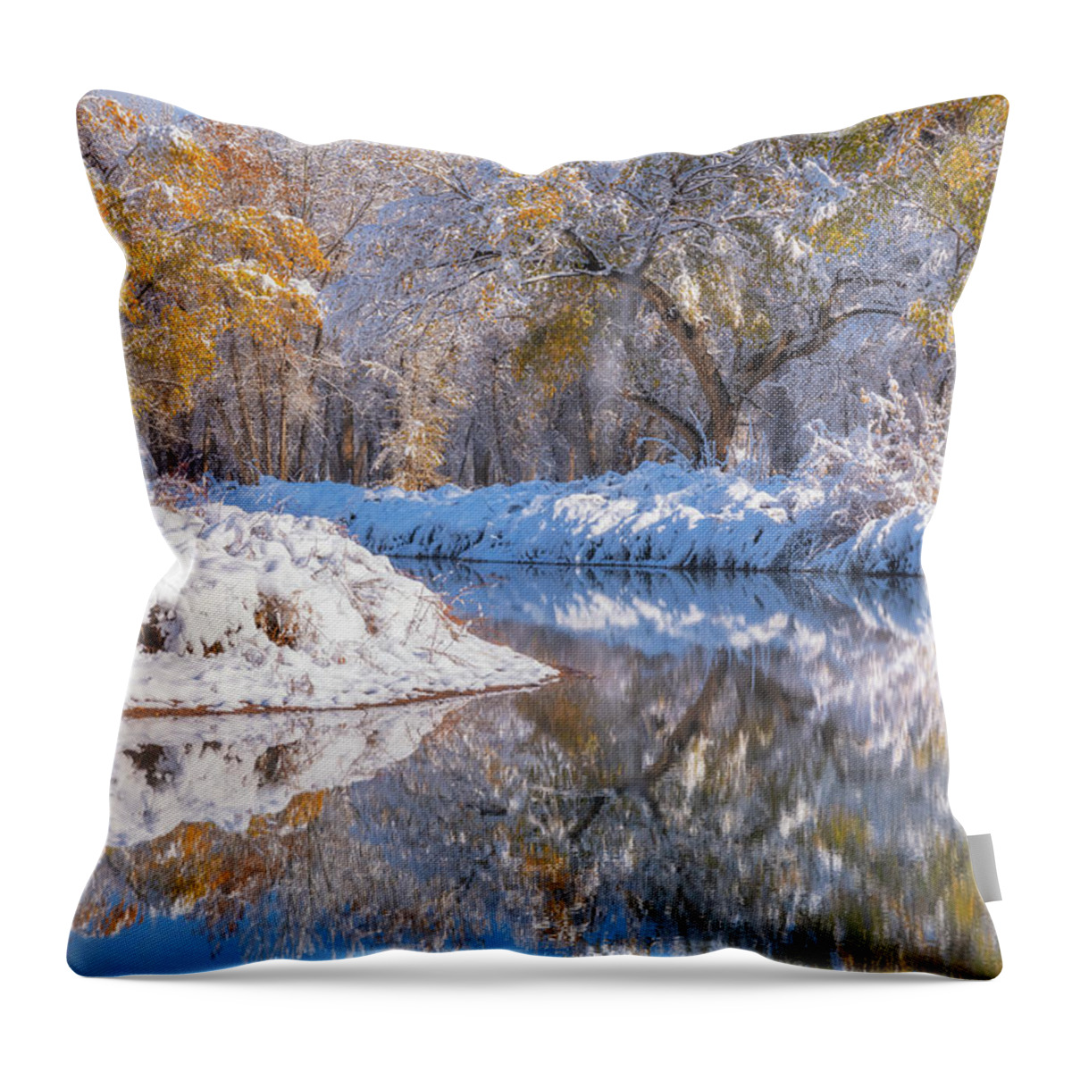 Snow Throw Pillow featuring the photograph Angel Dusting by Darren White