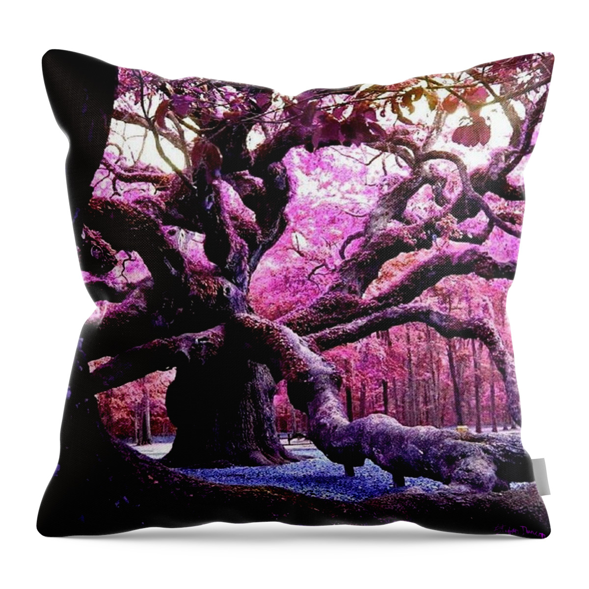 Angel Oak Throw Pillow featuring the mixed media Angel Oak, King Of Oaks by Stefan Duncan