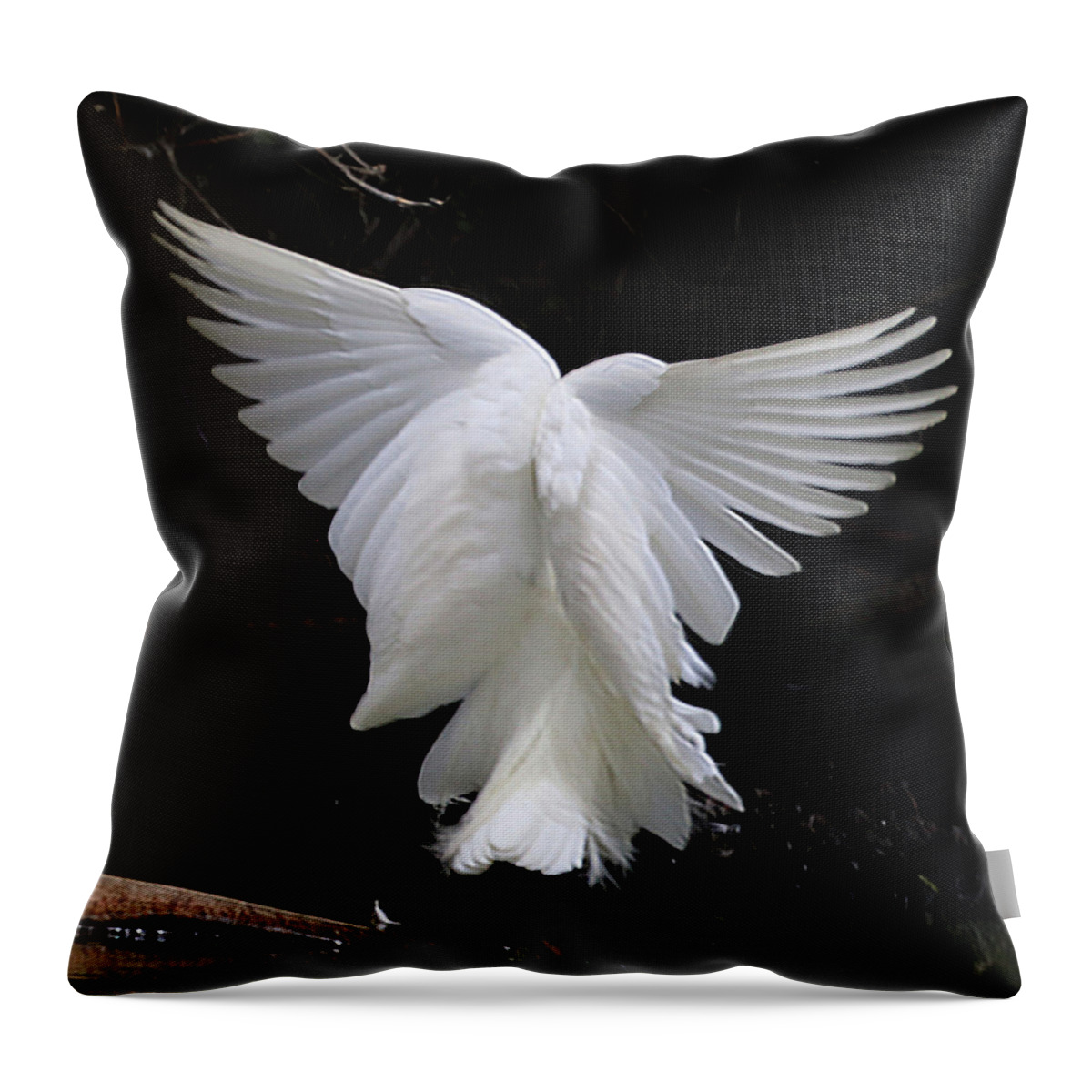 Egret Throw Pillow featuring the photograph Angel Wings Egret by Perry Hoffman