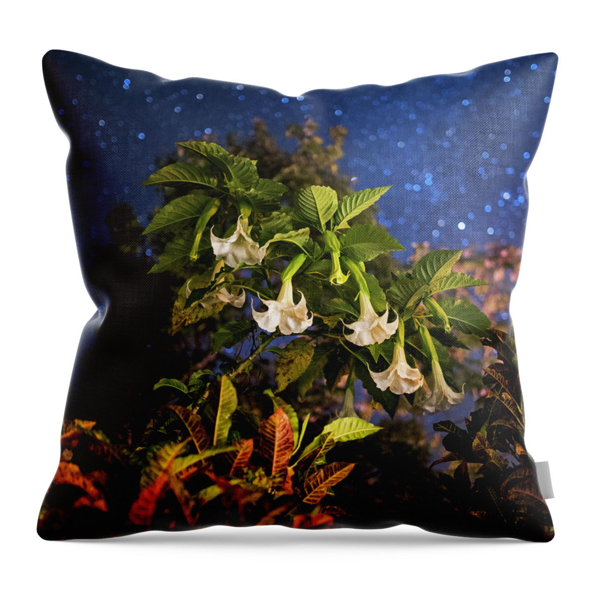Belize Throw Pillow featuring the photograph Angel's Trumpet Flowers Belmopan Belize Starry Skies Square by Toby McGuire