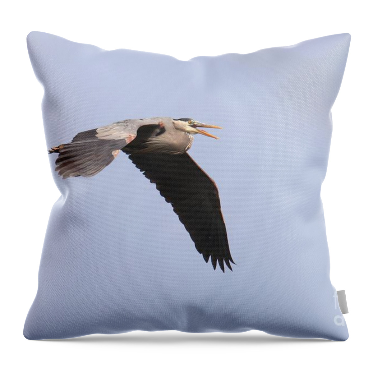 Great Blue Heron Throw Pillow featuring the photograph Angry Heron by Tony Lee