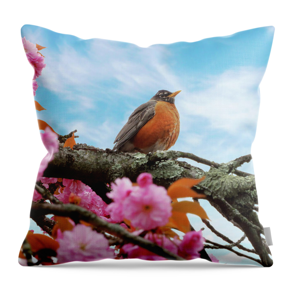 Spring Throw Pillow featuring the photograph Animal - Bird - First robin of spring by Mike Savad