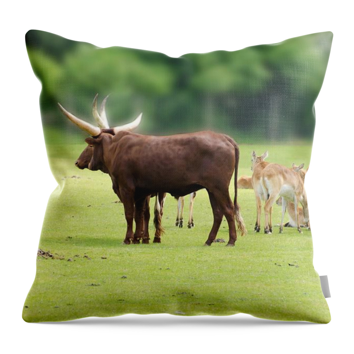 Anima Throw Pillow featuring the painting Animals g4 by Les Classics