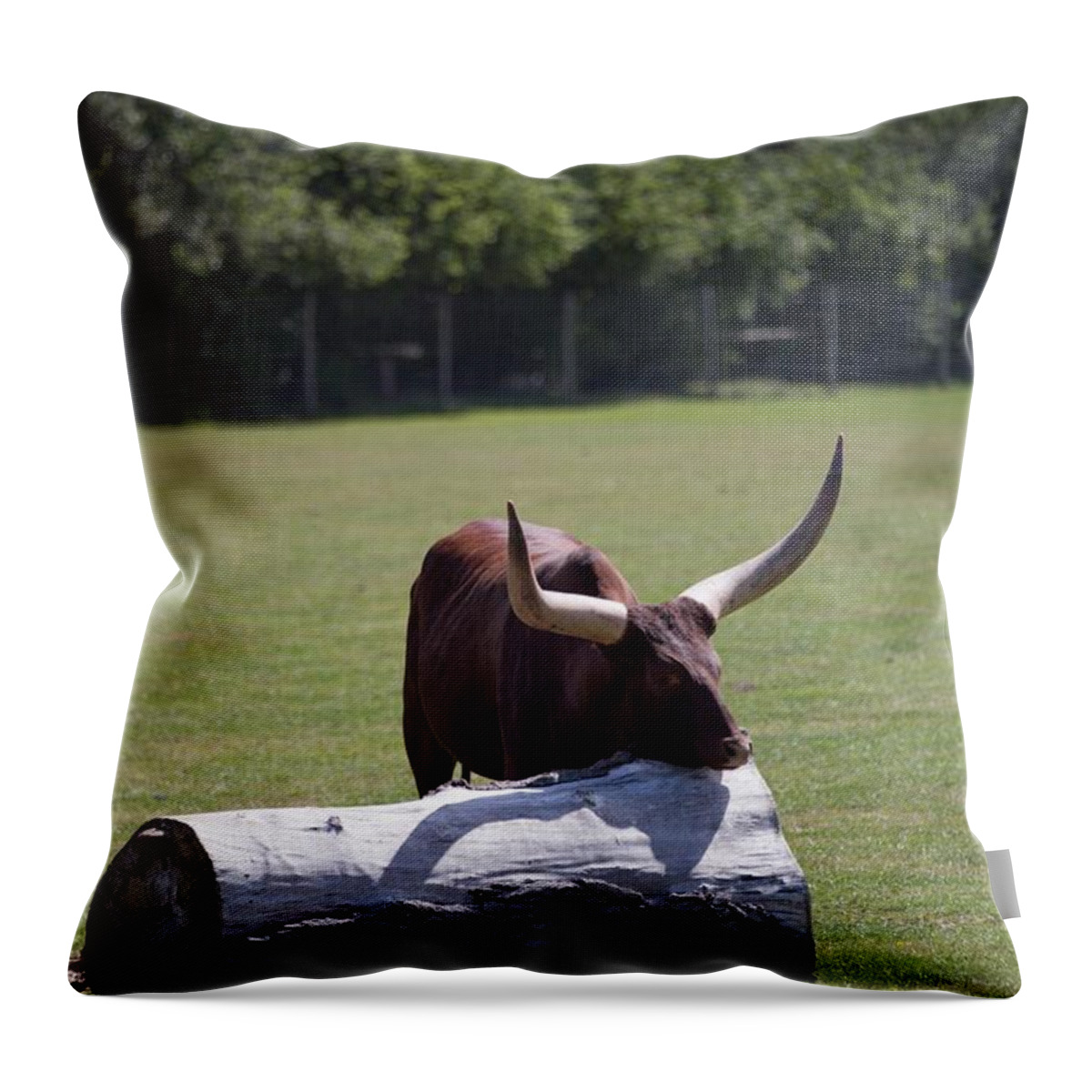 Africa Throw Pillow featuring the painting Ankole Cattle E8 by Les Classics