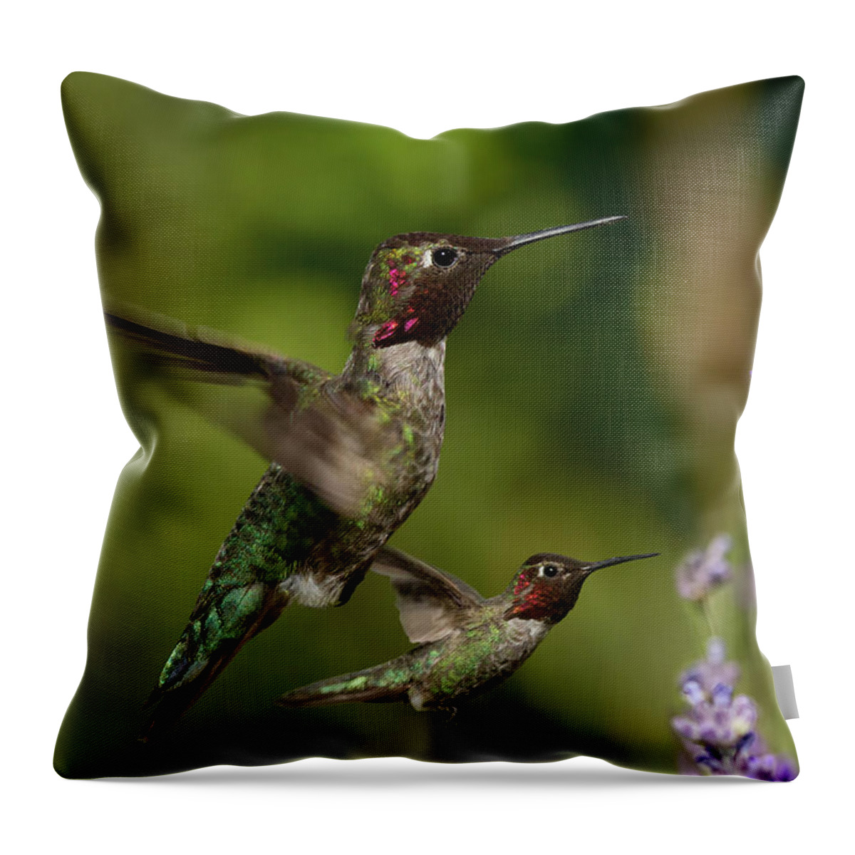 Anna's Hummingbird Throw Pillow featuring the photograph Anna's Hummingbirds in Flight by Kathleen Bishop