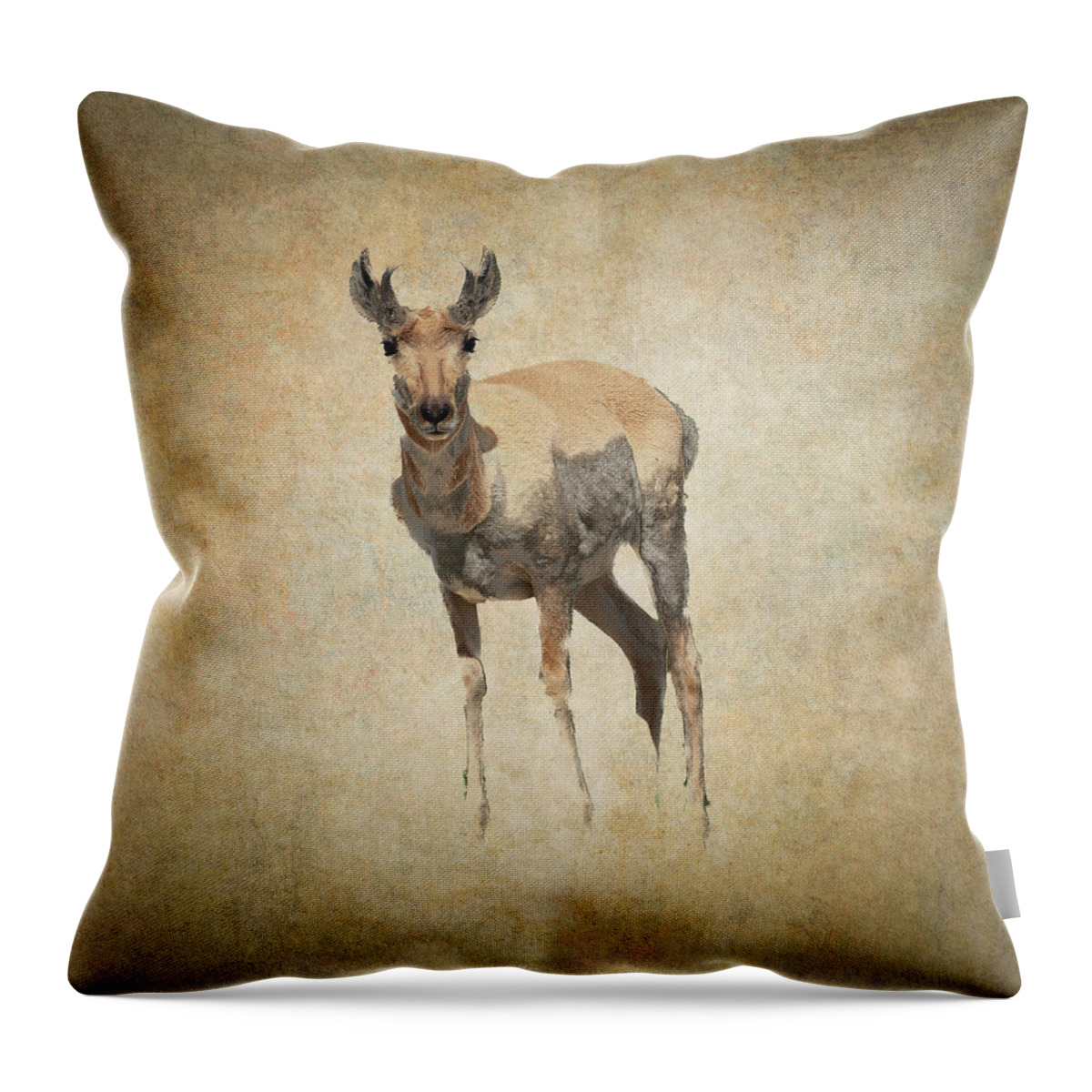 Antelope Throw Pillow featuring the photograph Antelope II by Norman Reid