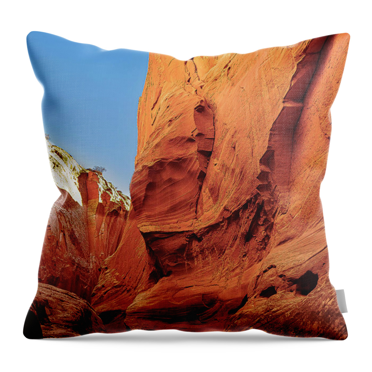 Landscape Throw Pillow featuring the photograph Antilope Series 6 by Silvia Marcoschamer