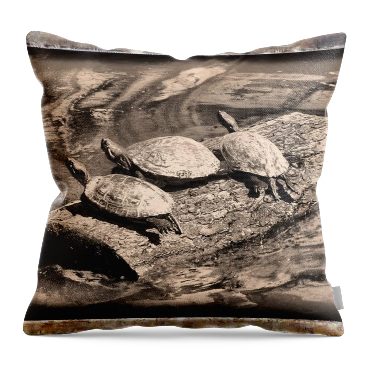 Turtle Throw Pillow featuring the mixed media Antique Turtles by Christopher Reed