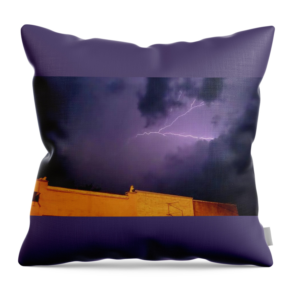 Lightning Throw Pillow featuring the photograph Anvil Crawler in Tennessee by Ally White