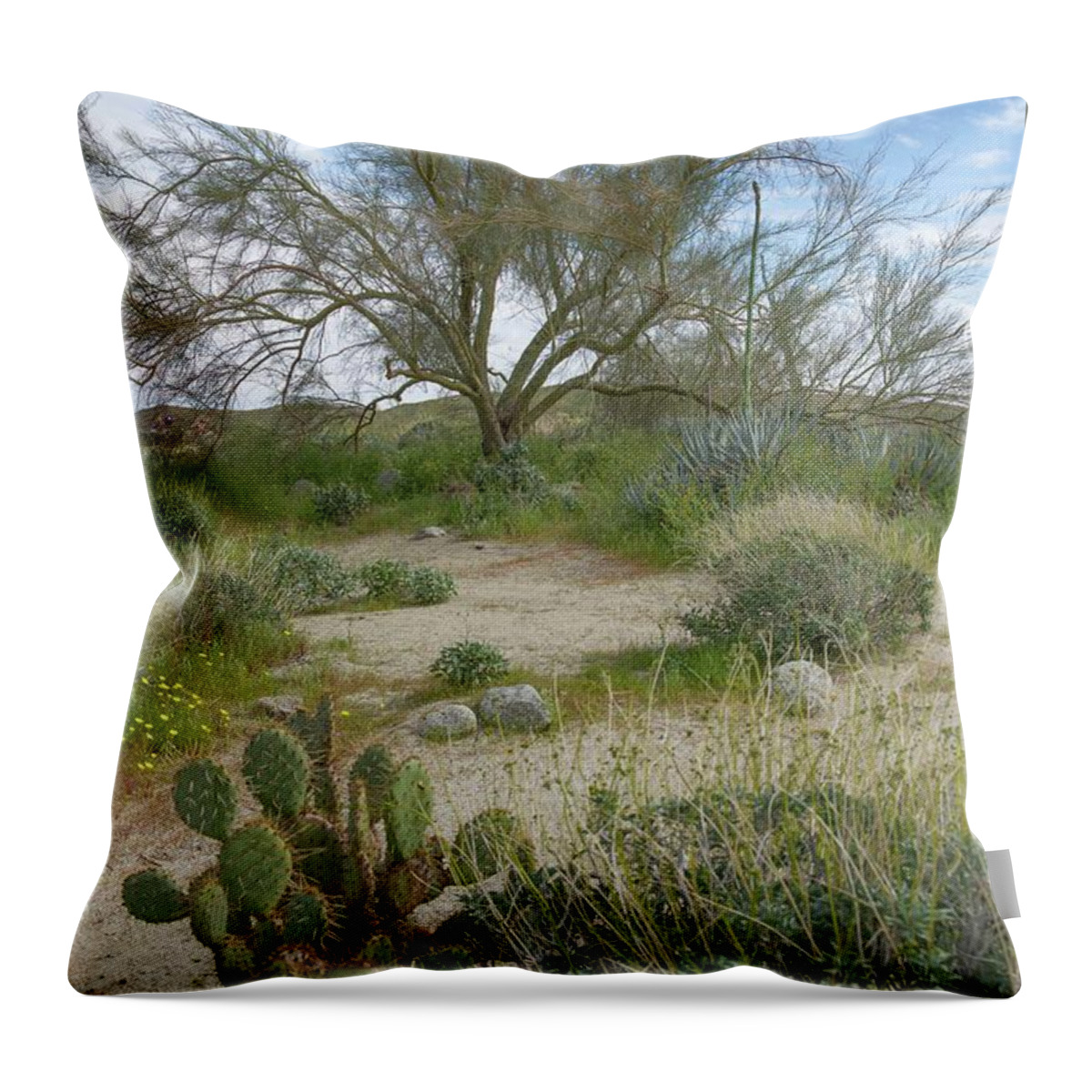 Anza-borrego Throw Pillow featuring the photograph Anza Borrego Desert Landscape by Rebecca Herranen