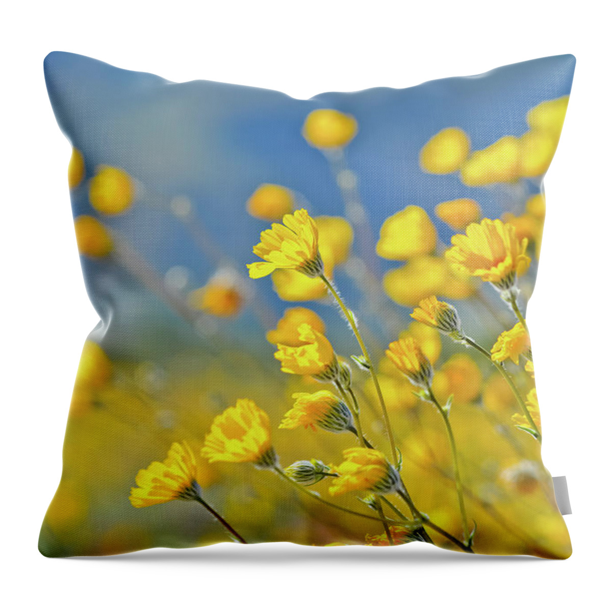 Desert Sunflower Throw Pillow featuring the photograph Anza Borrego Desert Sunflower by Kyle Hanson