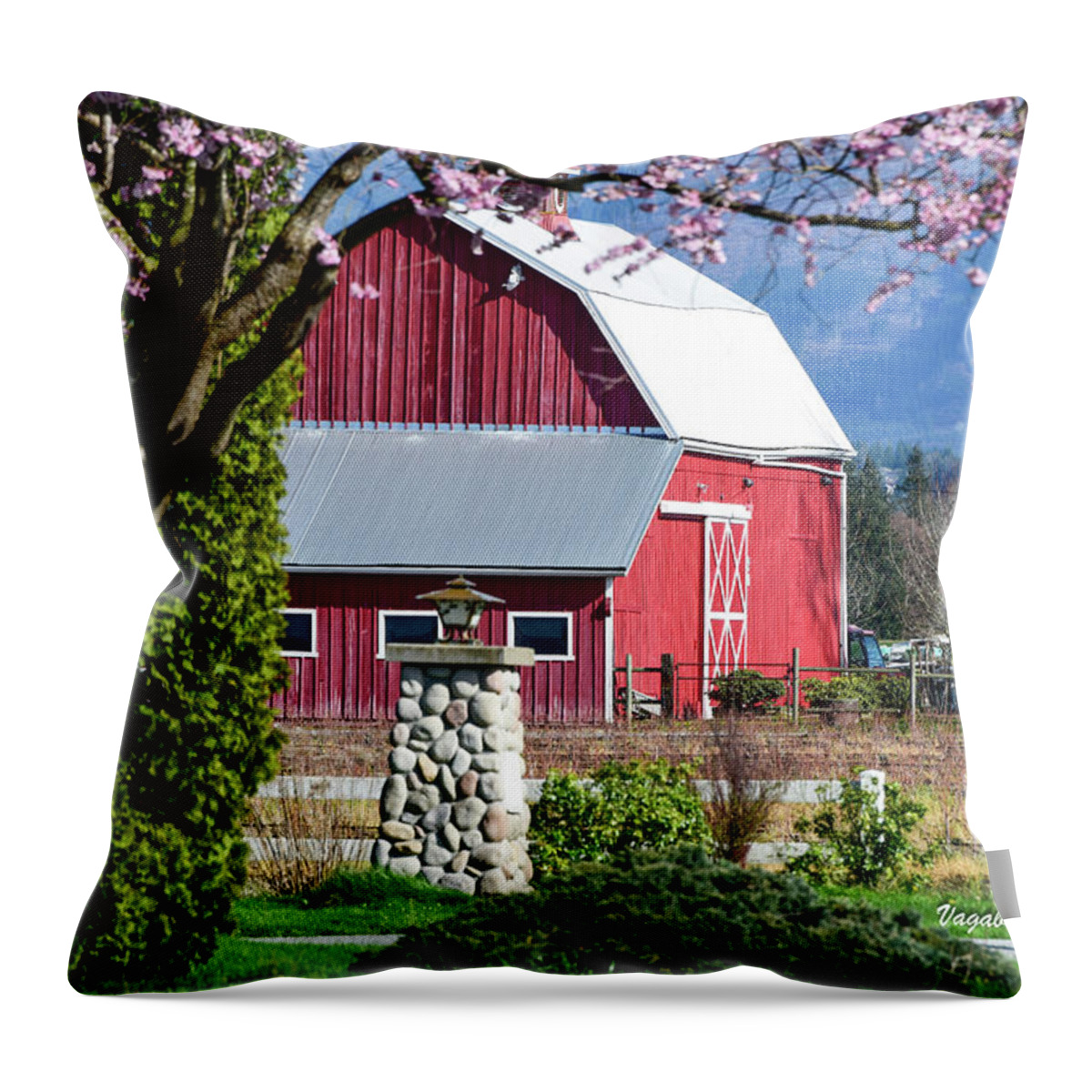 Apple Tree Pink And Barn Red Throw Pillow featuring the photograph Apple Tree Pink and Barn Red by Tom Cochran