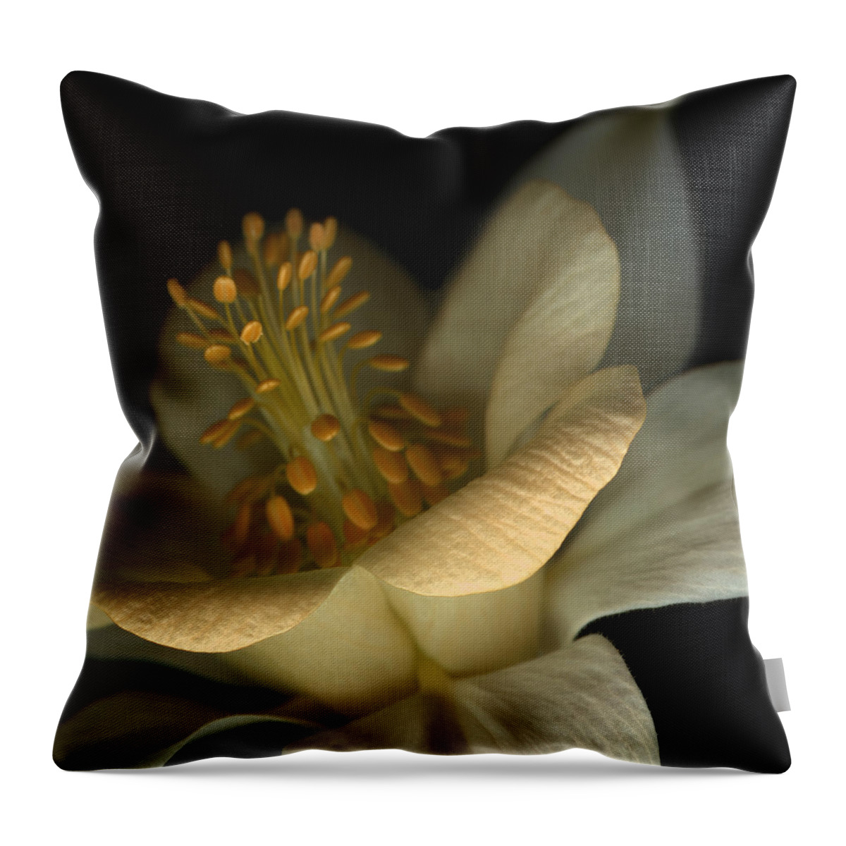 Aquilegia Throw Pillow featuring the photograph Apricot Delight II by Marsha Tudor