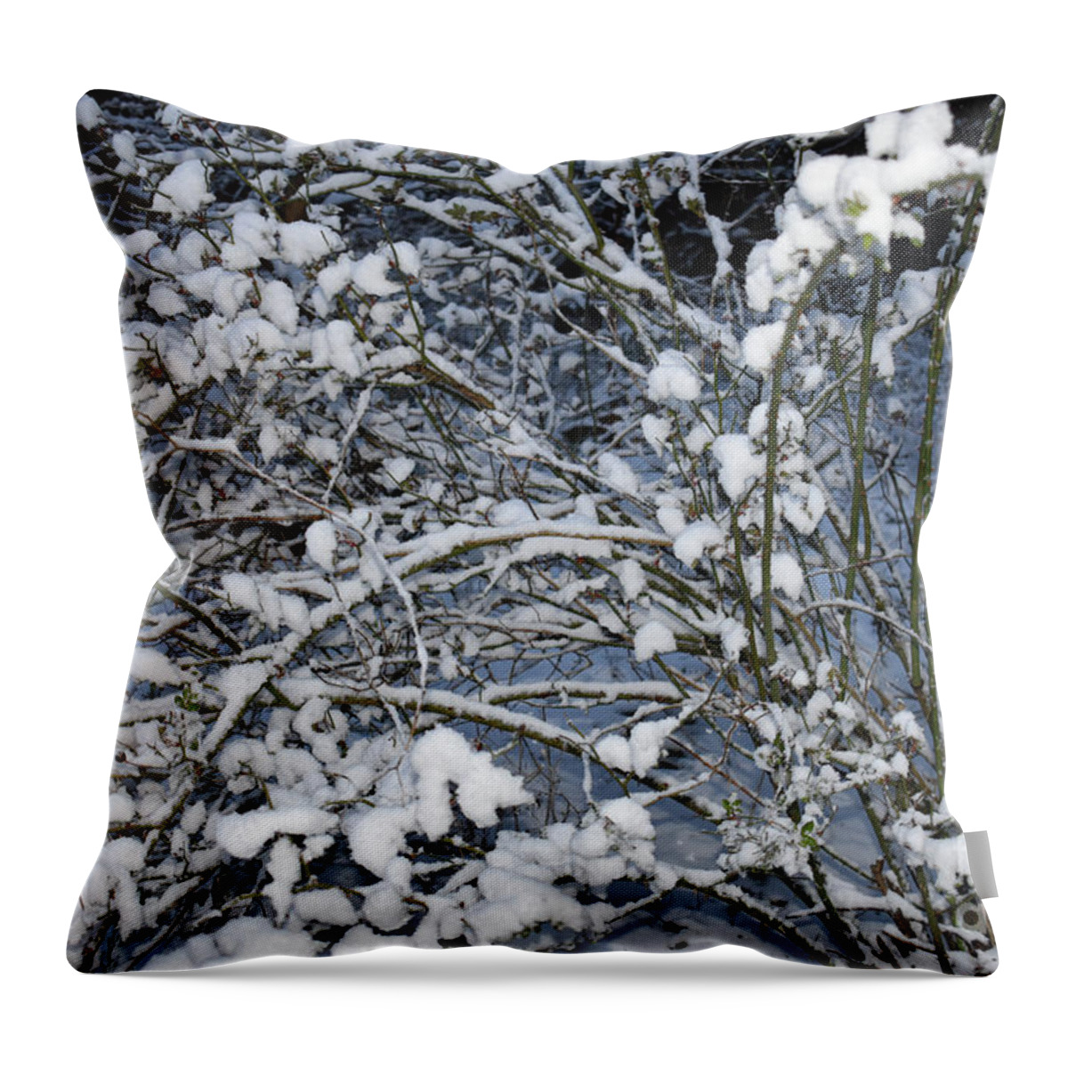 April Snow Throw Pillow featuring the photograph April Snow Curves by Anne Cameron Cutri