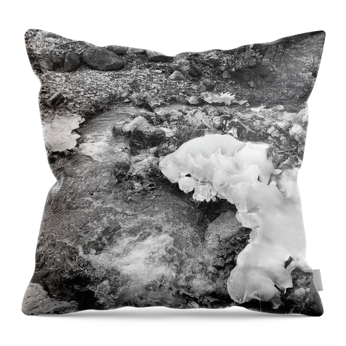 Photography Throw Pillow featuring the photograph Aqua Chiquita Creek and Ice, Lincoln National Forest, New Mexico by Richard Porter