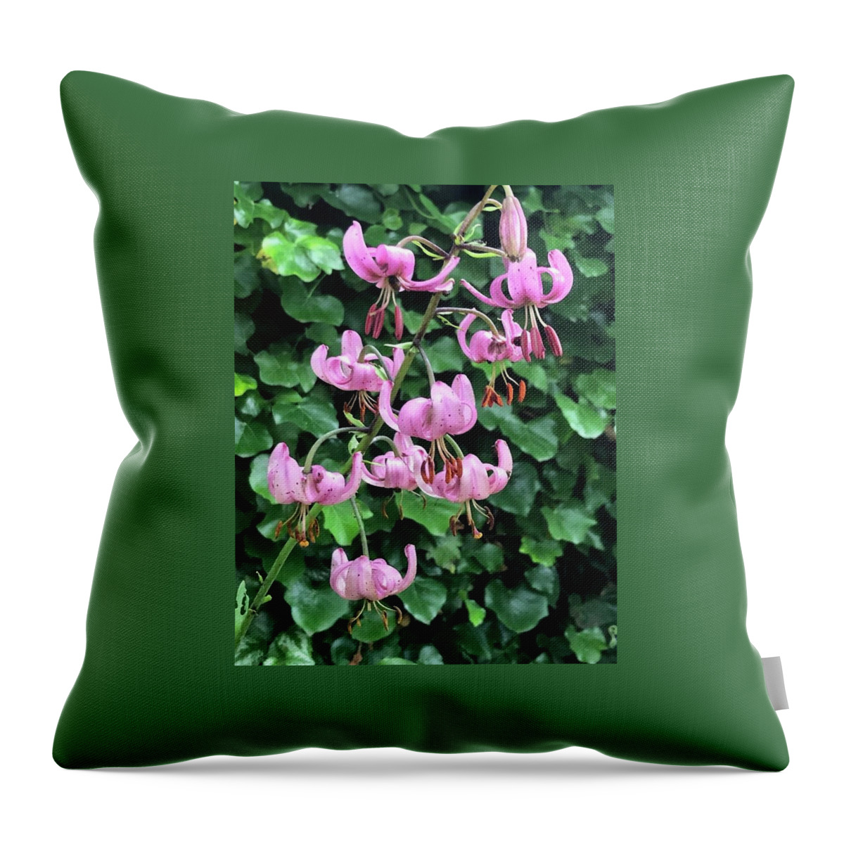 Arabian Lily Throw Pillow featuring the photograph Arabian Lily by Mark Egerton
