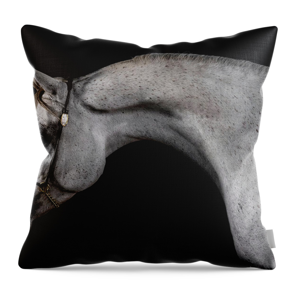 Arabian Portrait Throw Pillow featuring the photograph Arabian Portrait by Wes and Dotty Weber