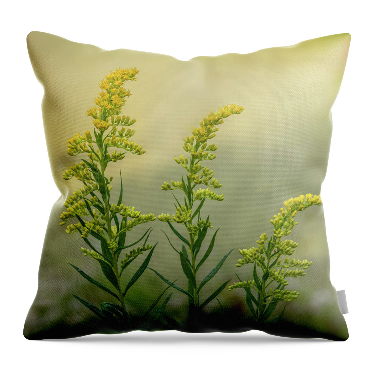 Arboretum Throw Pillow featuring the photograph Arboretum Wildflowers by James Woody