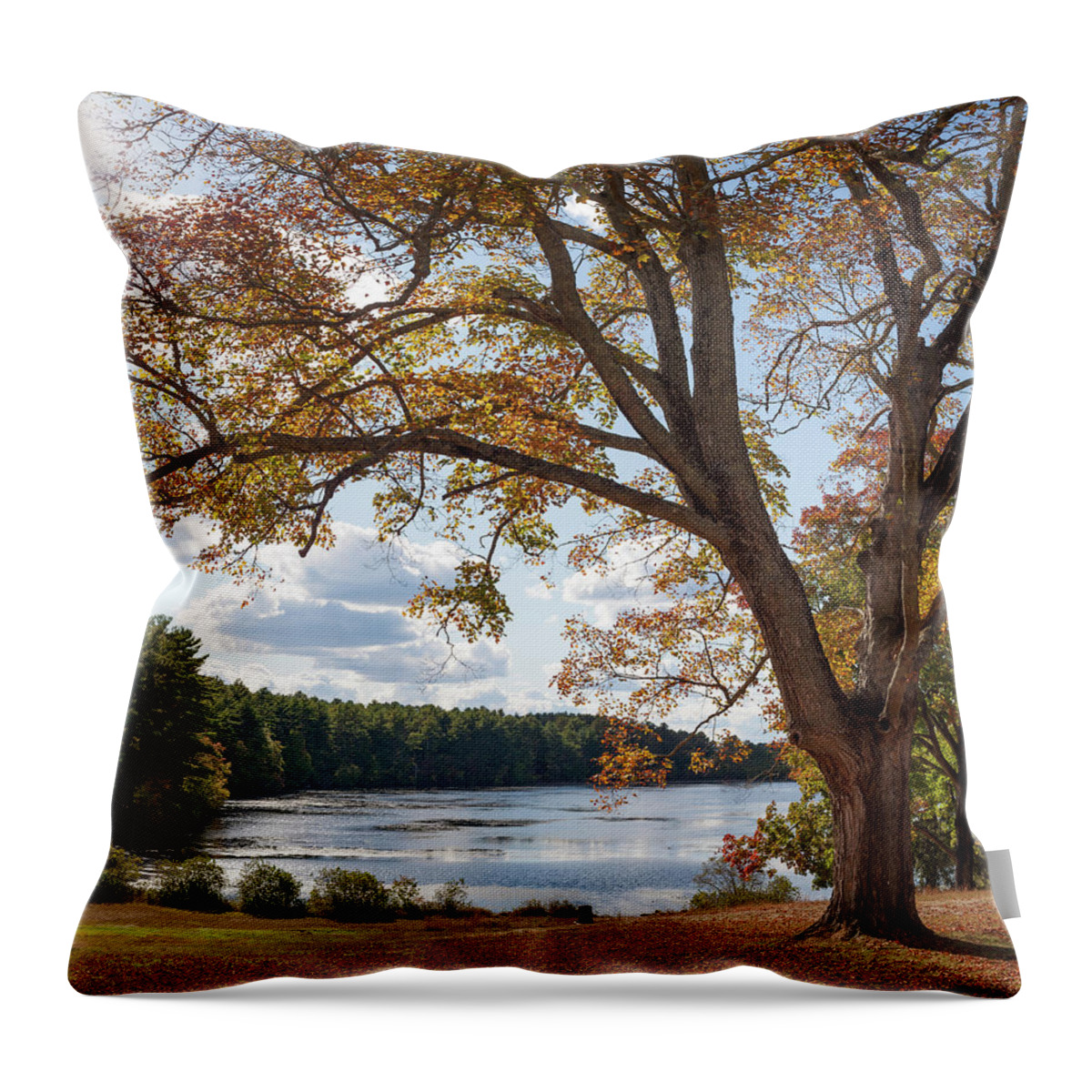 Arcadia Throw Pillow featuring the photograph Arcadia in the Fall by Kirkodd Photography Of New England