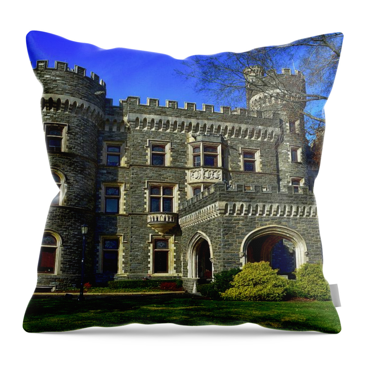 Arcadia University Throw Pillow featuring the photograph Arcadia University by James DeFazio