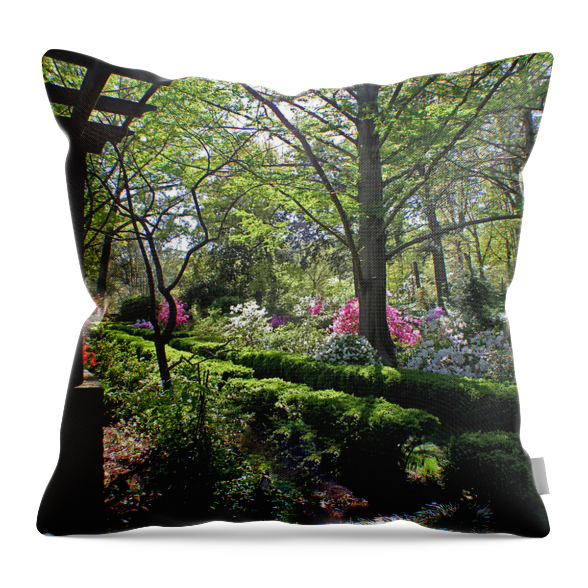 Arboretum Throw Pillow featuring the photograph Arch in the Garden by Carolyn Stagger Cokley