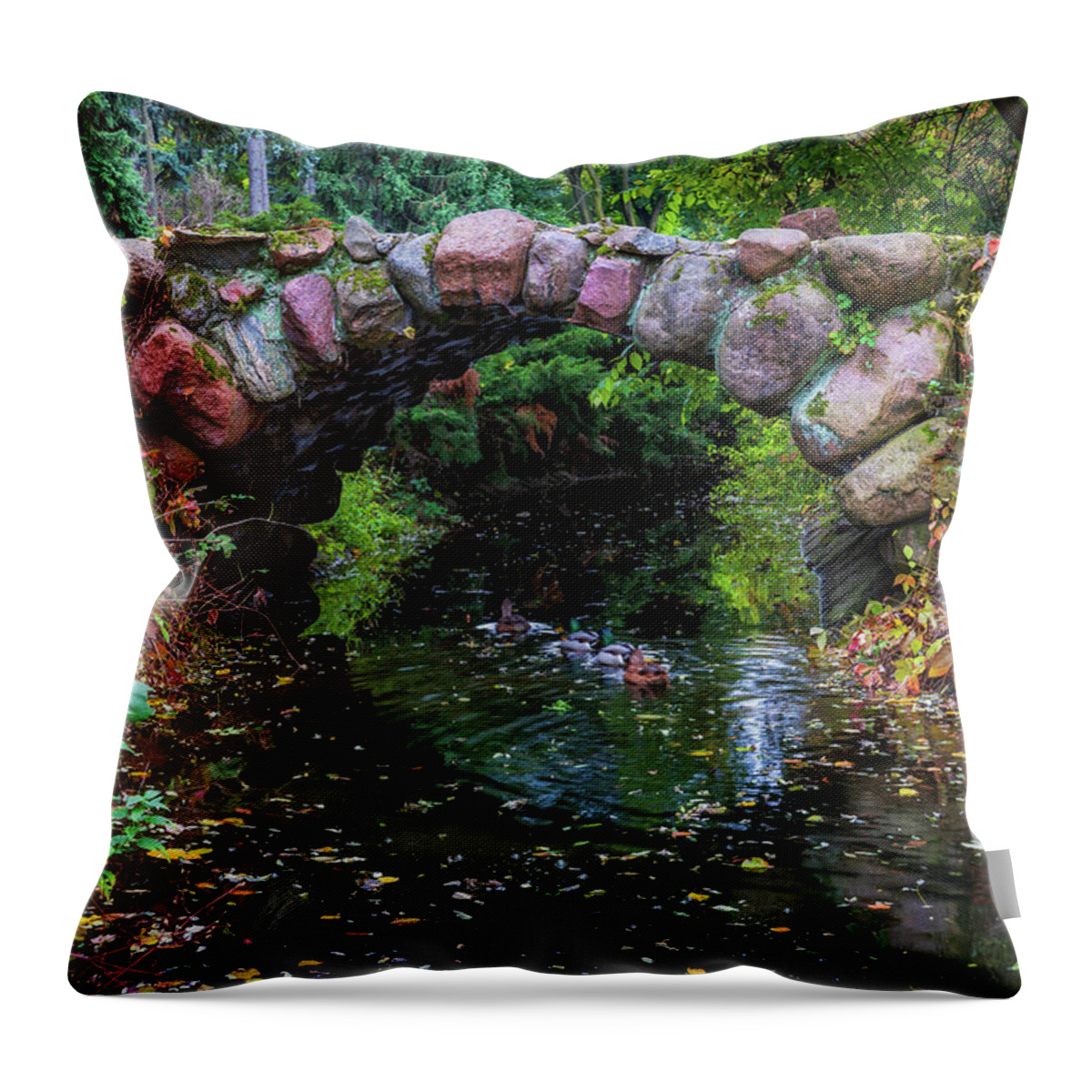 Bridge Throw Pillow featuring the photograph Arch Stone Bridge In Autumn Park by Artur Bogacki