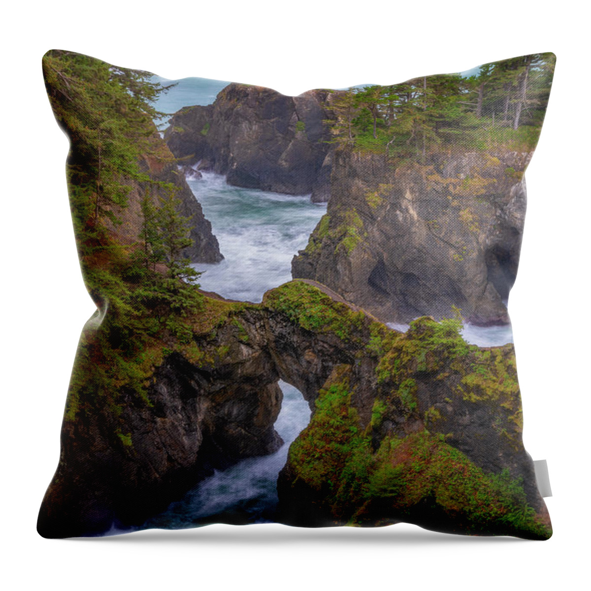 Oregon Throw Pillow featuring the photograph Arched Views by Darren White