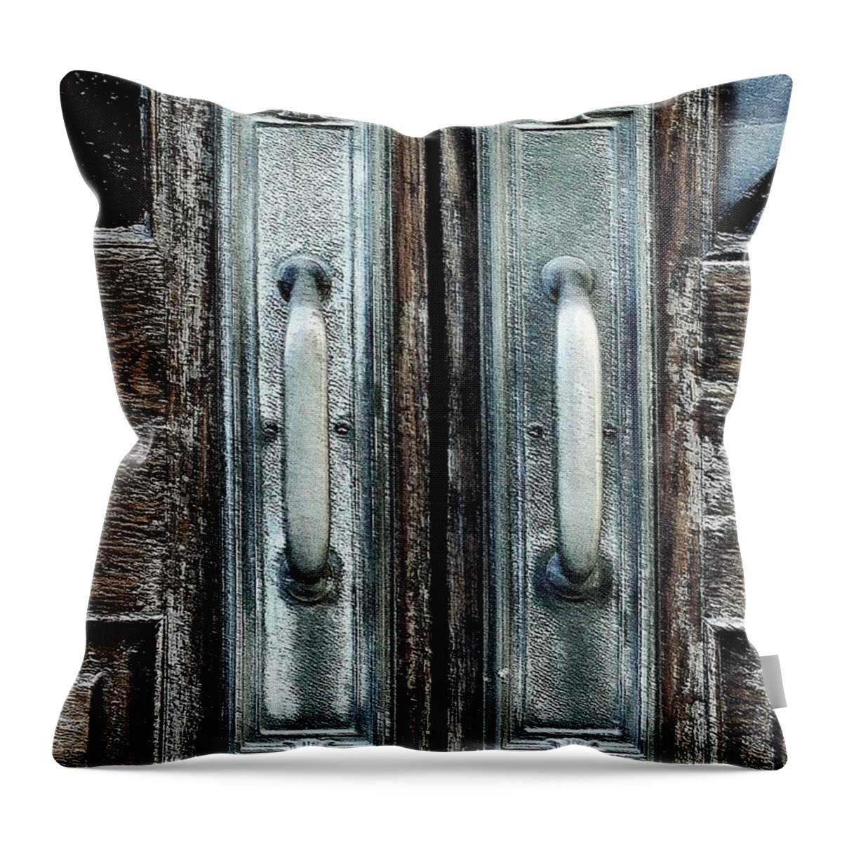 Door Throw Pillow featuring the photograph Architecture 2 by Carol Jorgensen