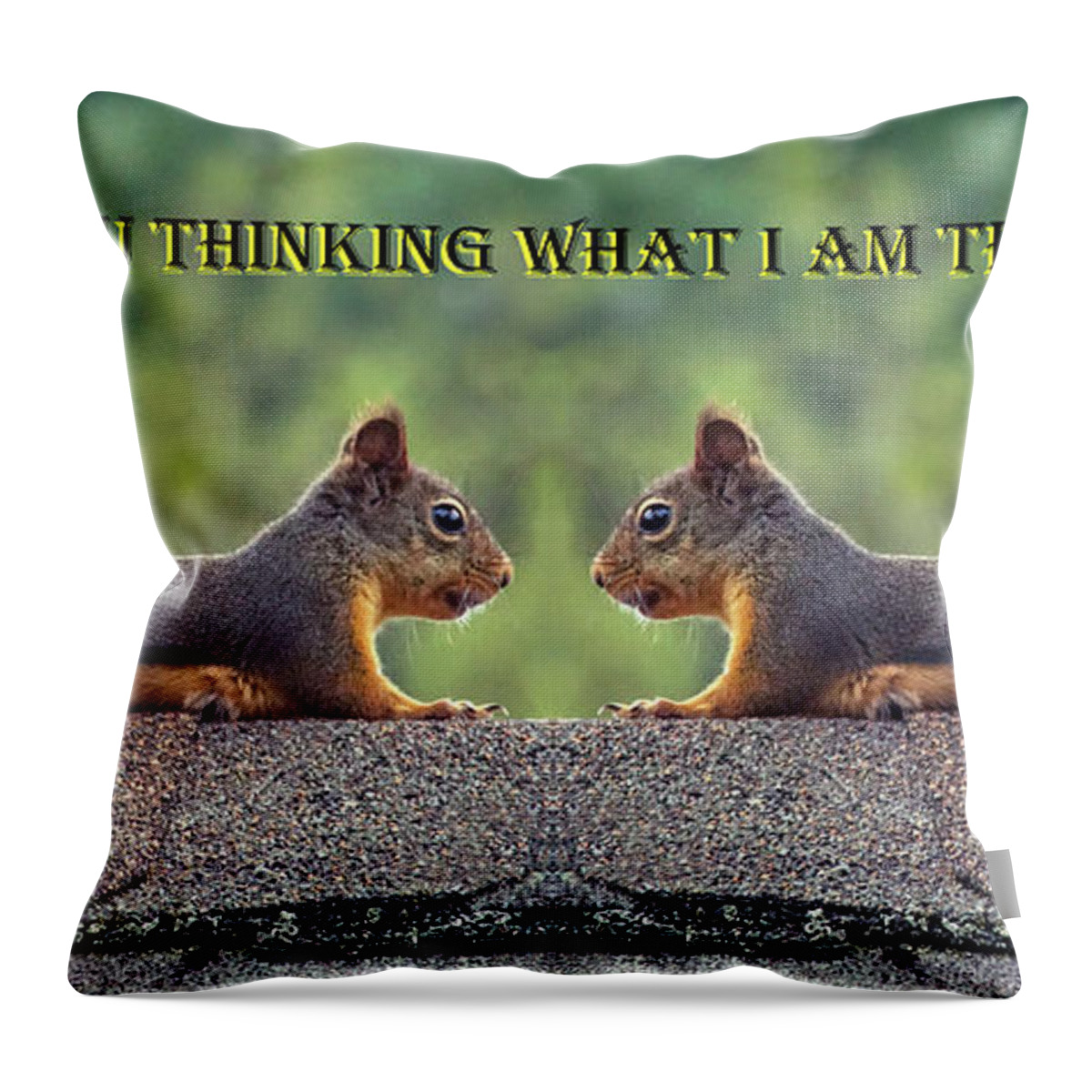 Squirrels Throw Pillow featuring the photograph Are You Thinking What I Am Thinking by Ben Upham III