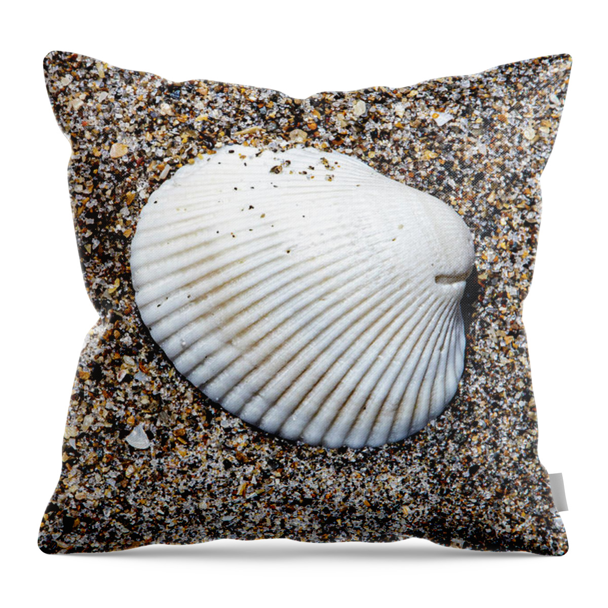 Shell Throw Pillow featuring the photograph Ark Clam Shell by Blair Damson