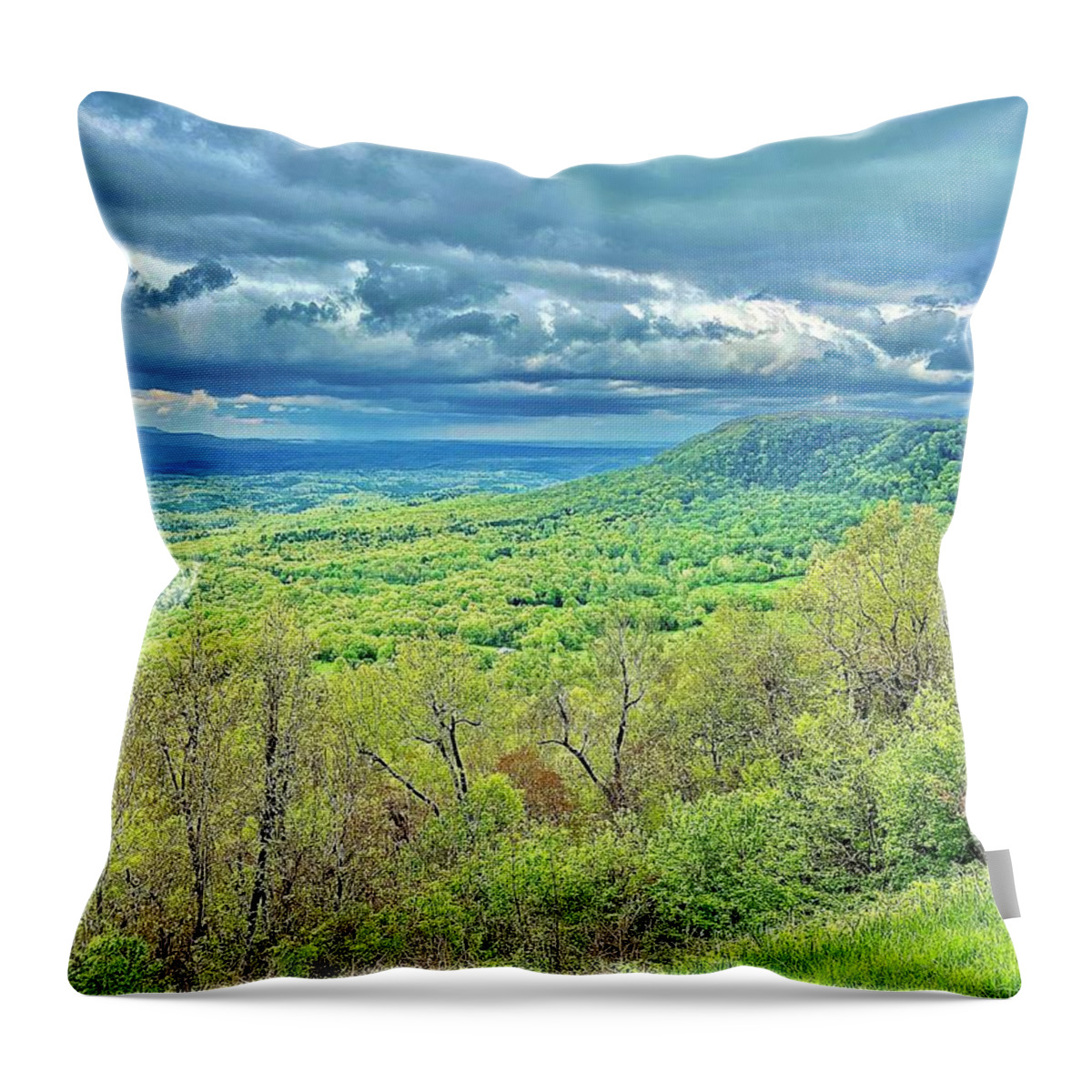 Mountain Throw Pillow featuring the photograph Arkansas Grand Canyon by Michael Oceanofwisdom Bidwell