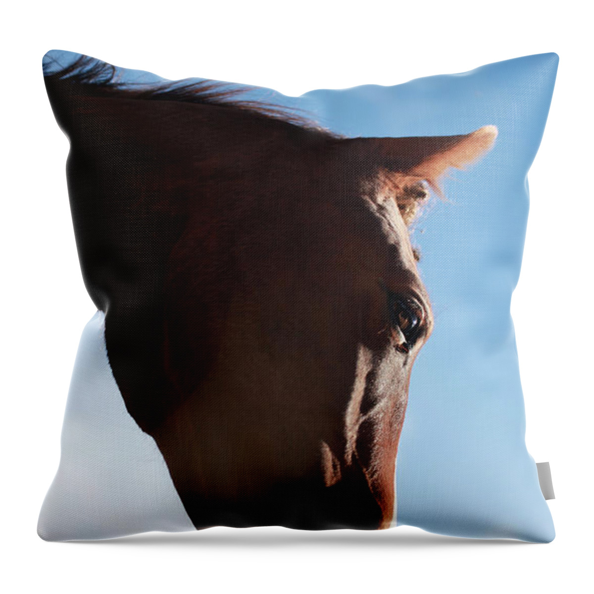 Horse Throw Pillow featuring the photograph Arresting Visage by Listen To Your Horse
