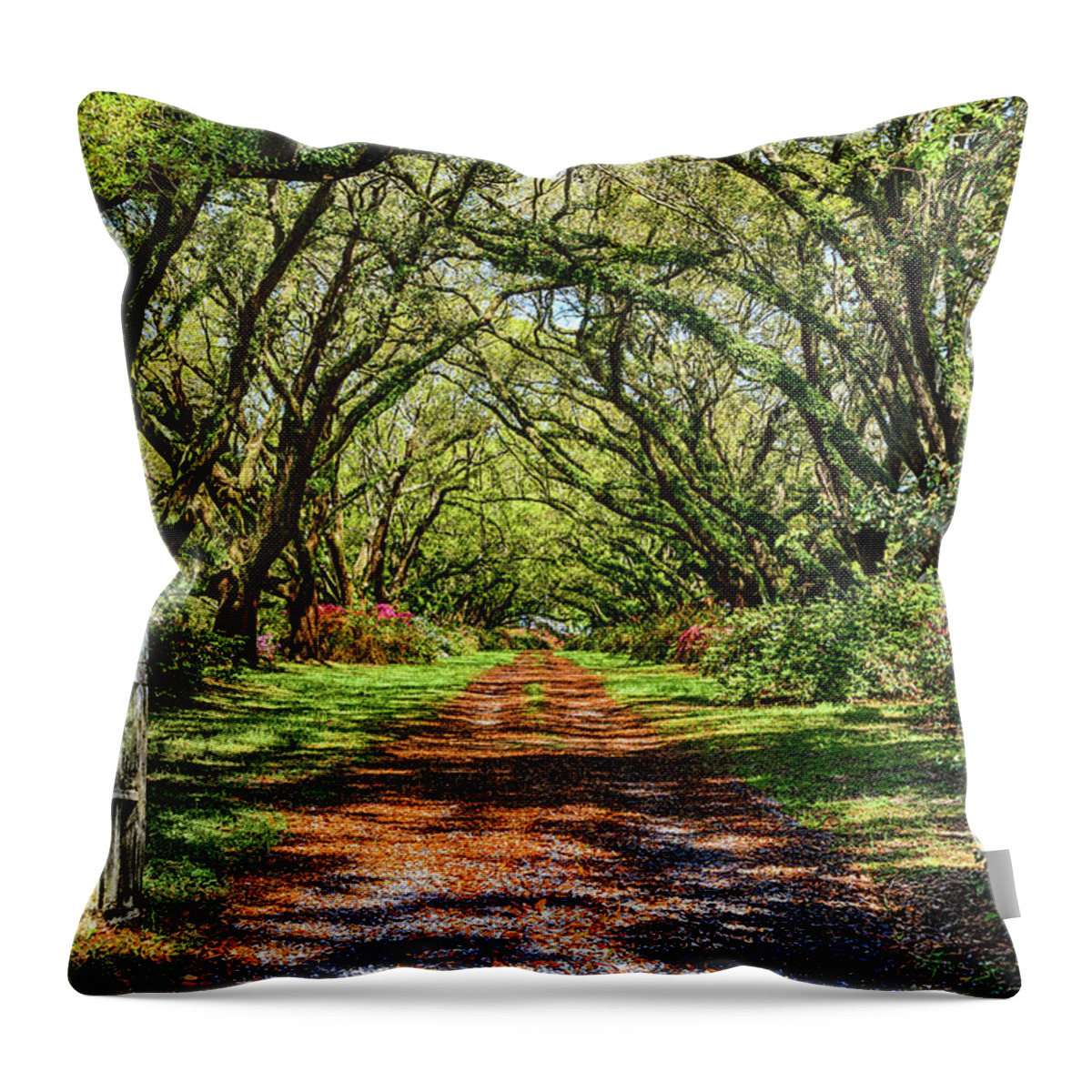  Throw Pillow featuring the photograph Arrogantly Shabby by Jim Miller