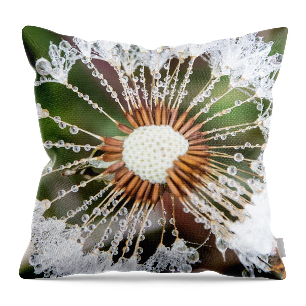 Closeup Throw Pillow featuring the photograph Dewy Diamond Dandelion 3 of 12 by Cheryl McClure